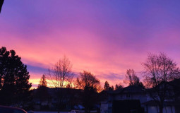 Aaliyah's member tier list